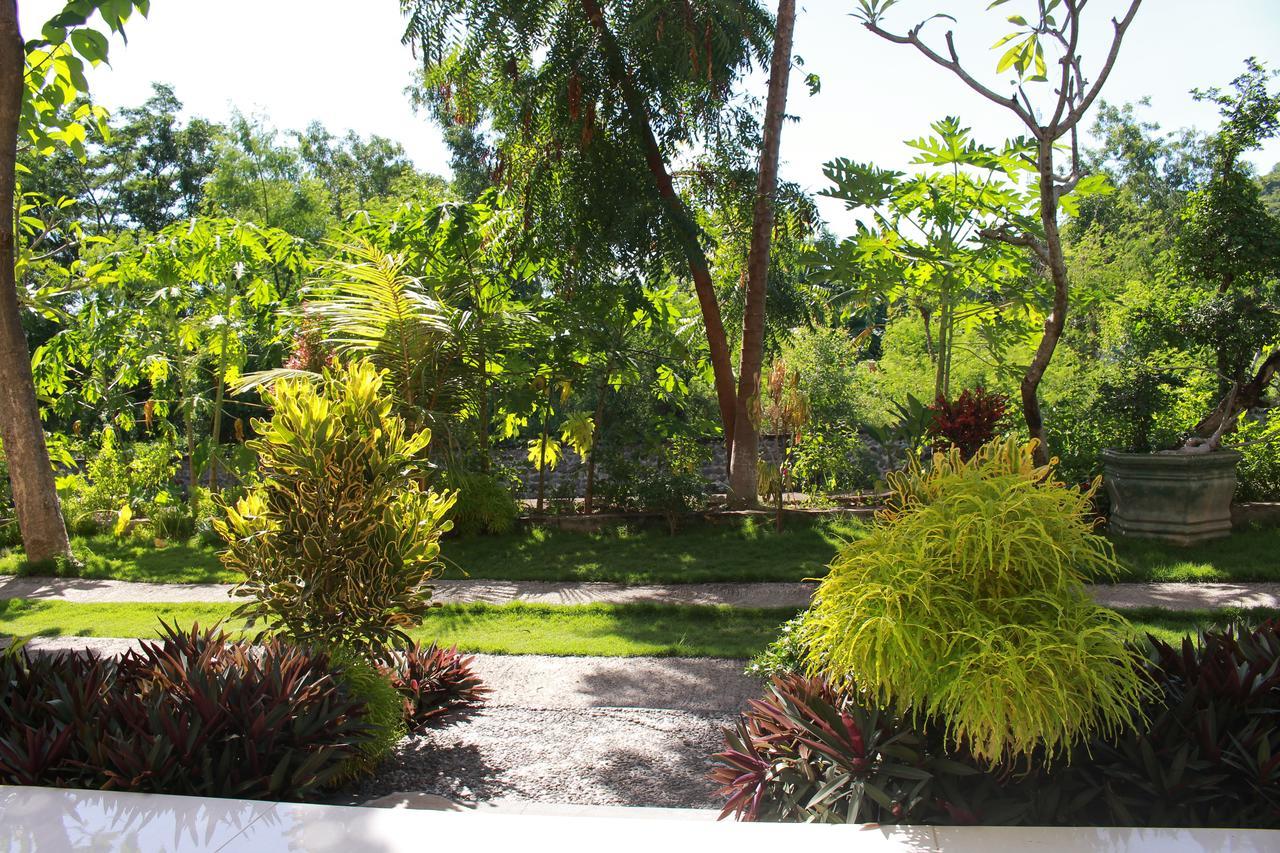 Taman Padi Villa Amed Dış mekan fotoğraf